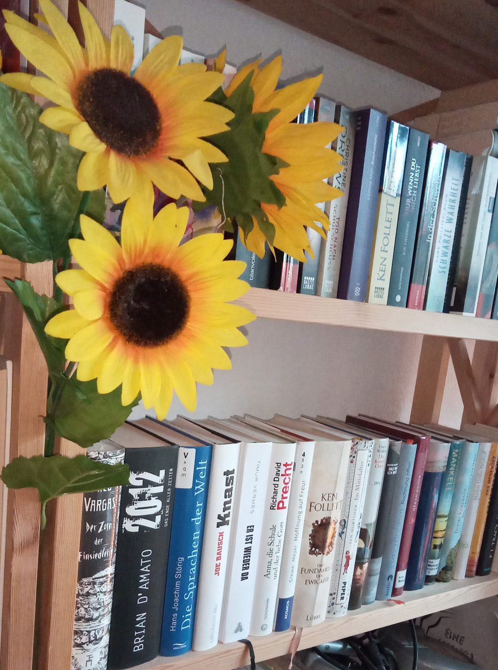 Sonnenblume und Bücherregal